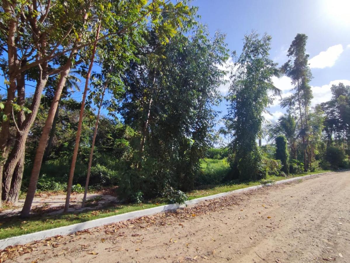 Casa Nova 2 Villa São José da Coroa Grande Eksteriør billede