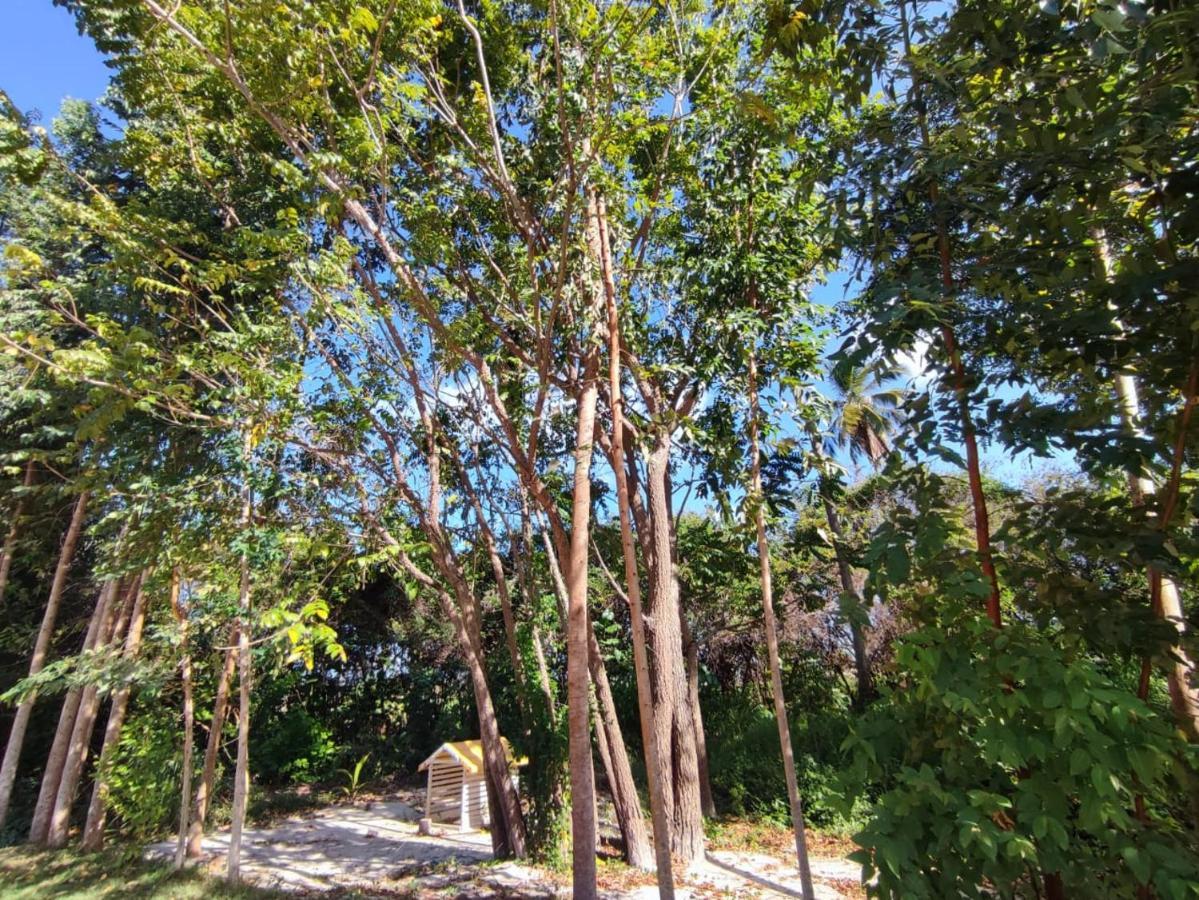 Casa Nova 2 Villa São José da Coroa Grande Eksteriør billede